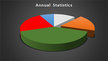 Annual Case Statistics